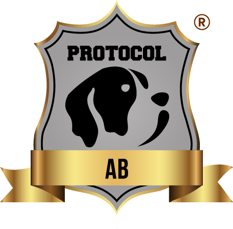 ESCUDO PROTOCOL AB