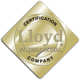 Logo tipo de lloyd mexicano en colaboración con Protocolo Anti-bullying